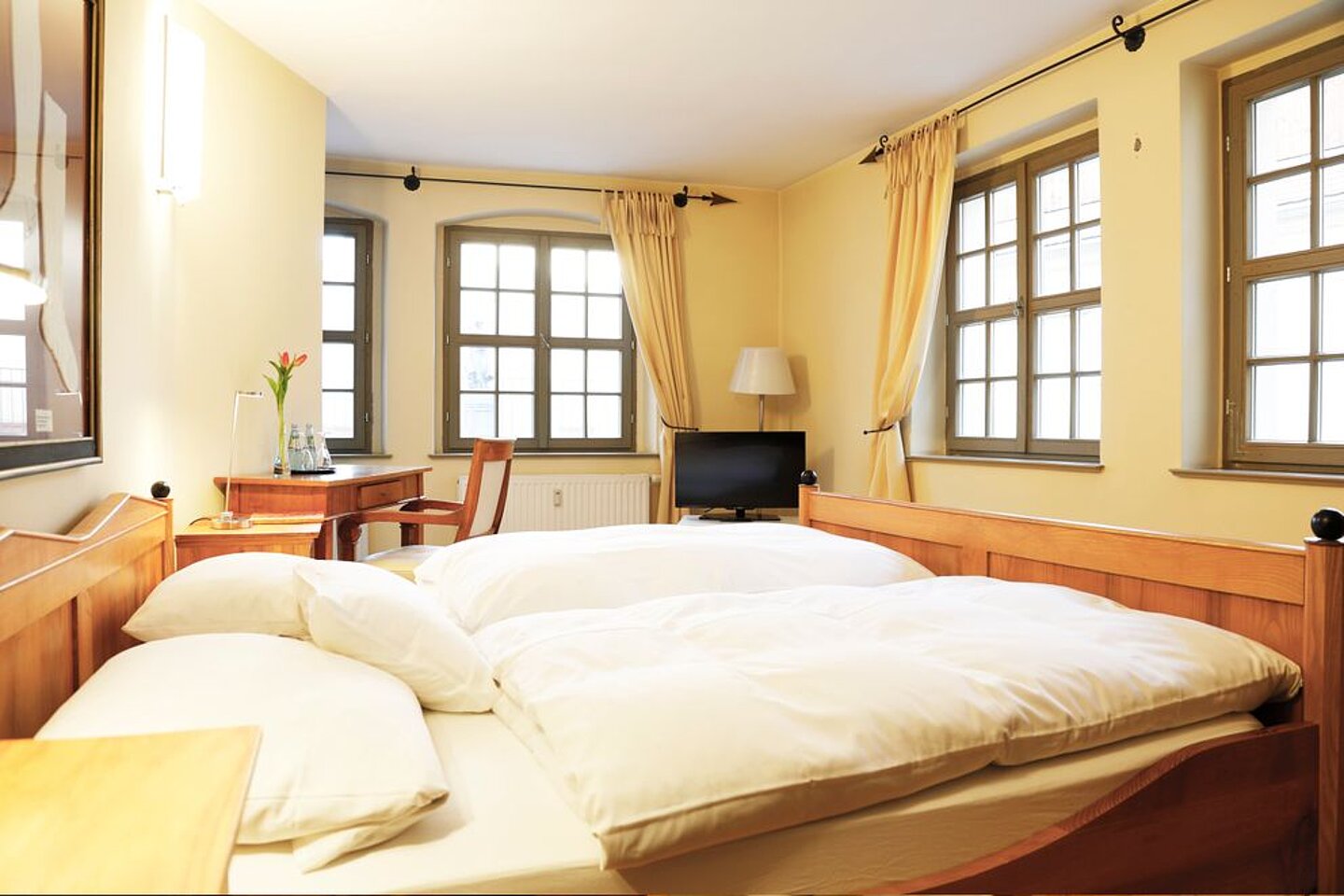 GH_Fluebo_demiani_9911-992